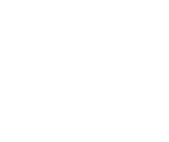 Wyld Riot